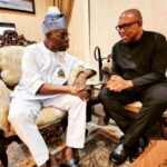 Obasanjo endorses Peter Obi for president