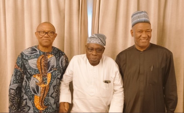 The sense in Obasanjo’s endorsement of Peter Obi - By Dan Agbese