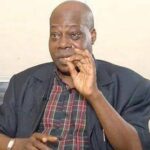 Interim government = Interim illegality - By Ray Ekpu