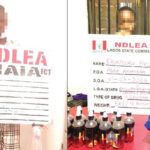 NDLEA nabs student, Lagos lawyer with drugs