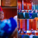 FEC, not kitchen cabinet, Mr President – By Dan Agbese