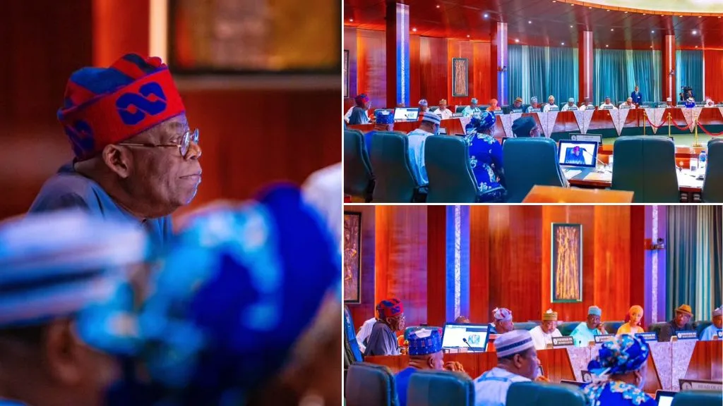 FEC, not kitchen cabinet, Mr President – By Dan Agbese