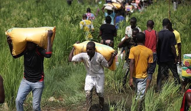 Economic hardship: Abuja residents loot warehouses