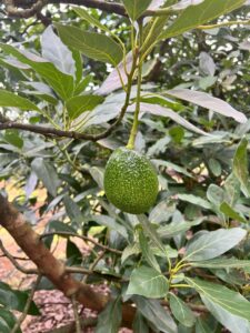 Alspecs Ventures Limited: Announcing our rebranding and expansion