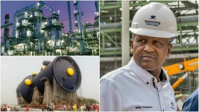 Mystery of Dangote refinery in Nigerian oil politics