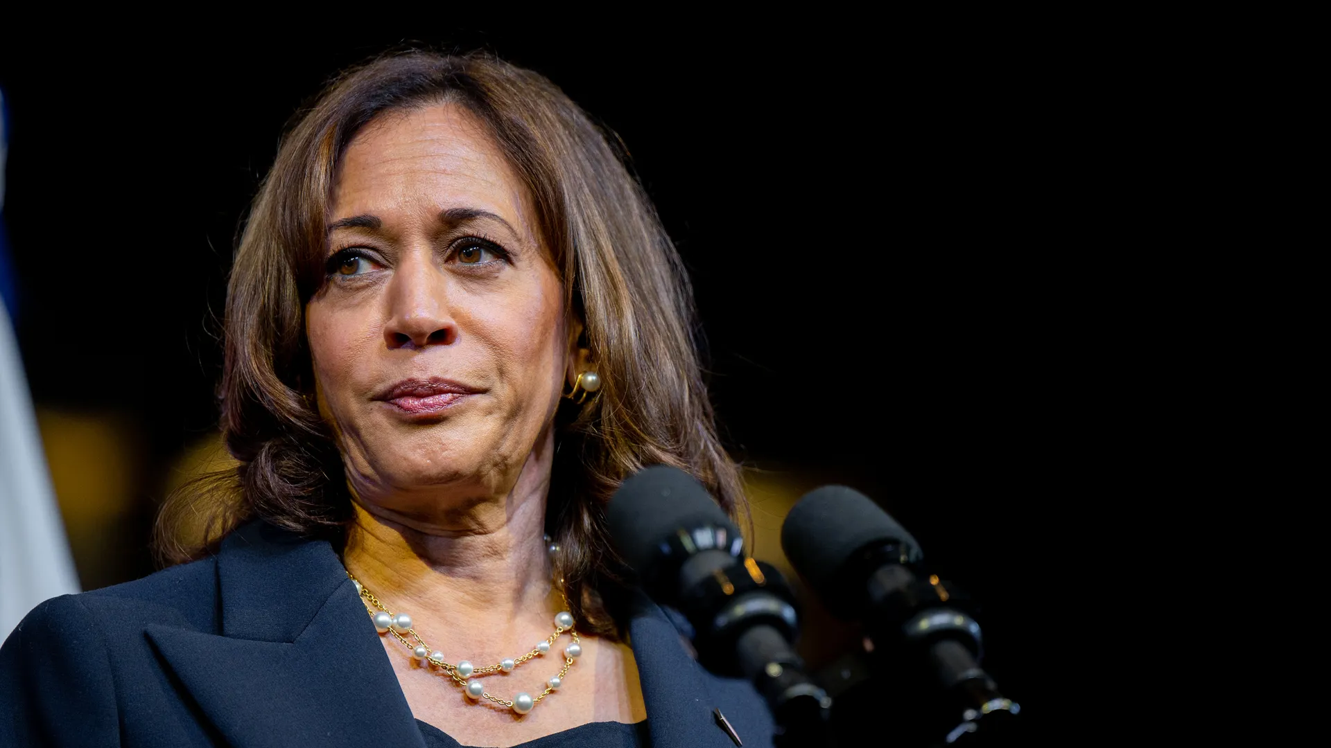 The Three Reasons Harris Will Lose the Election