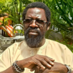 How Nigerians united to save my life - Dele Farotimi