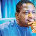 Nigeria in 2025: A banner without stain - By Femi Adesina