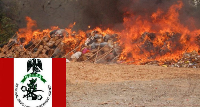 NDLEA destroys ‘1.6m kg’ drugs seized in Lagos, Ogun, Oyo