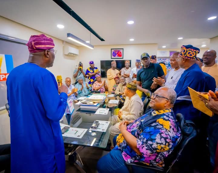 Winners emerge in Lagos APC LG chairmanship primaries