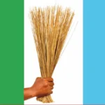 APC sweeps chairmanship, councillorship seats in Lagos